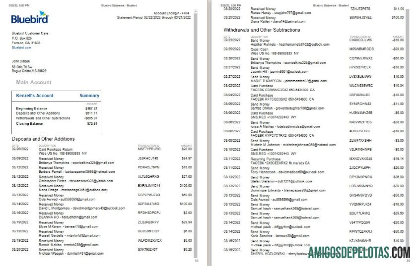 Extrato bancário Bluebird dos EUA em branco modelo Word e PDF, 3 páginas, versão 2